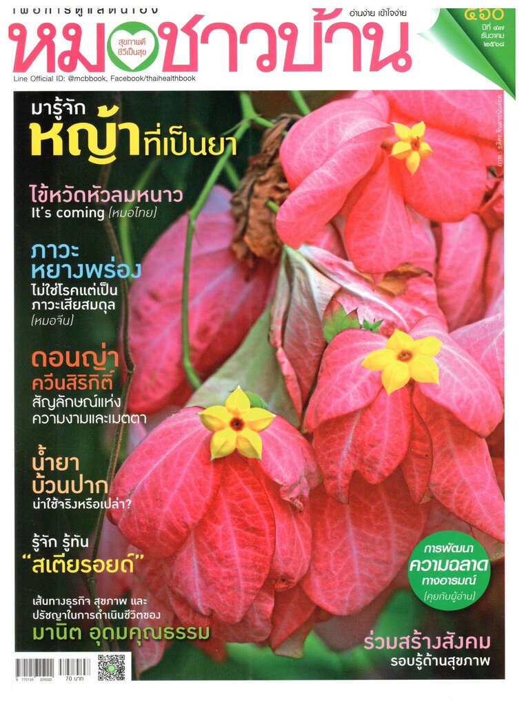 หมอชาวบ้าน 